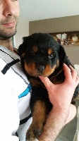 Laïko
